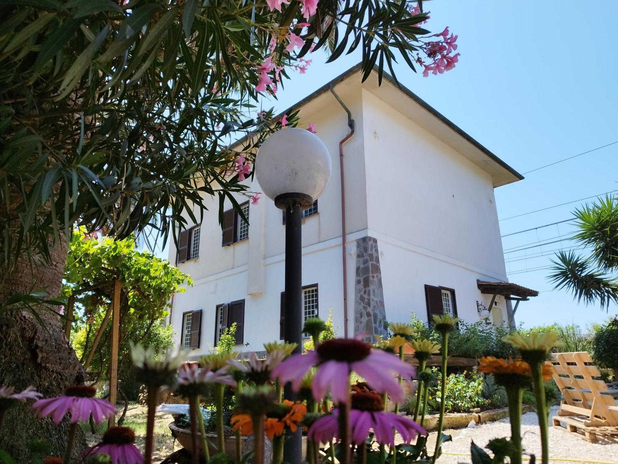 Bed and Breakfast La Domus Di Cosa Ansedónia Esterno foto